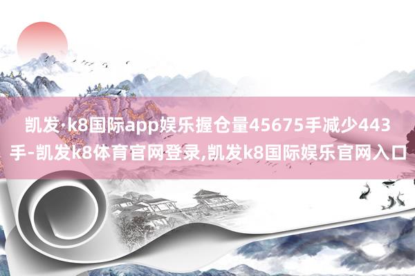 凯发·k8国际app娱乐握仓量45675手减少443手-凯发k8体育官网登录,凯发k8国际娱乐官网入口