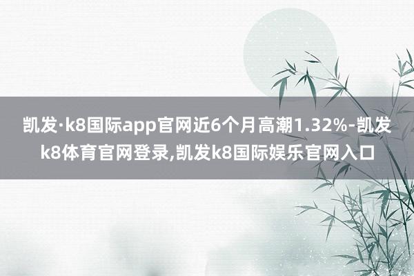 凯发·k8国际app官网近6个月高潮1.32%-凯发k8体育官网登录,凯发k8国际娱乐官网入口