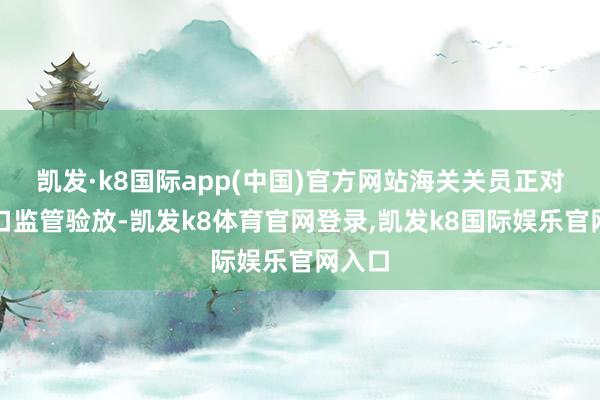 凯发·k8国际app(中国)官方网站海关关员正对其出口监管验放-凯发k8体育官网登录,凯发k8国际娱乐官网入口