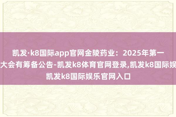凯发·k8国际app官网金陵药业：2025年第一次临时鼓励大会有筹备公告-凯发k8体育官网登录,凯发k8国际娱乐官网入口