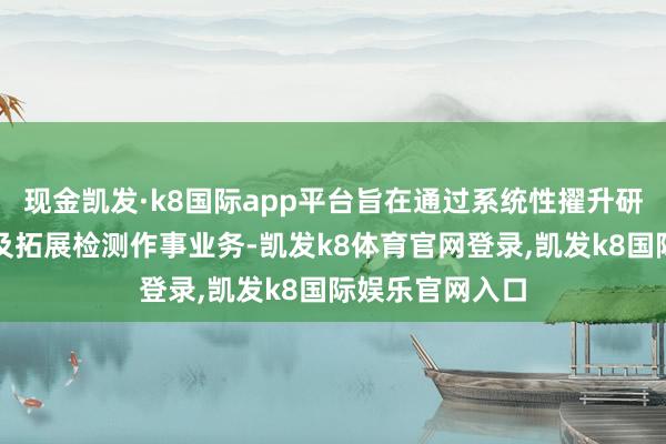 现金凯发·k8国际app平台旨在通过系统性擢升研发转变才气以及拓展检测作事业务-凯发k8体育官网登录,凯发k8国际娱乐官网入口